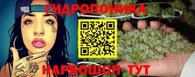 гашиш Канаш