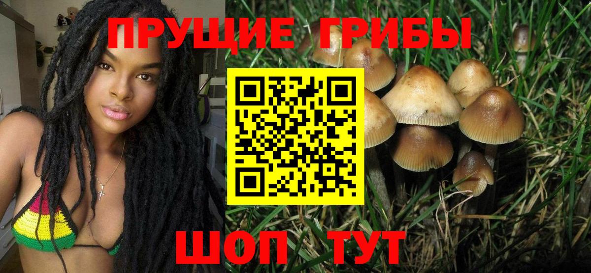 Галлюциногенные грибы Magic Shrooms  Вход с VPN  Видное 