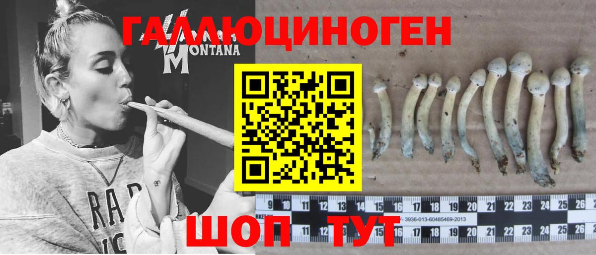 Галлюциногенные грибы ЛСД Видное